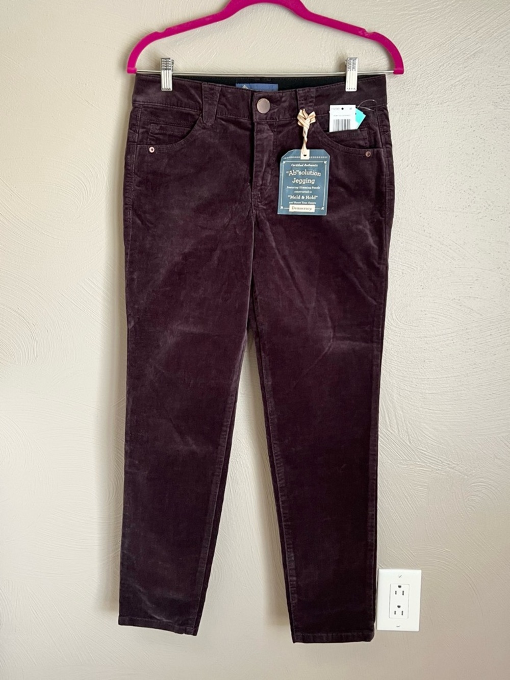 Democracy Absolution Jeri Skinny Jegging Brown Corduroy Pants